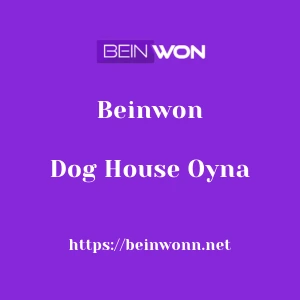 Beinwon Dog House Oyna